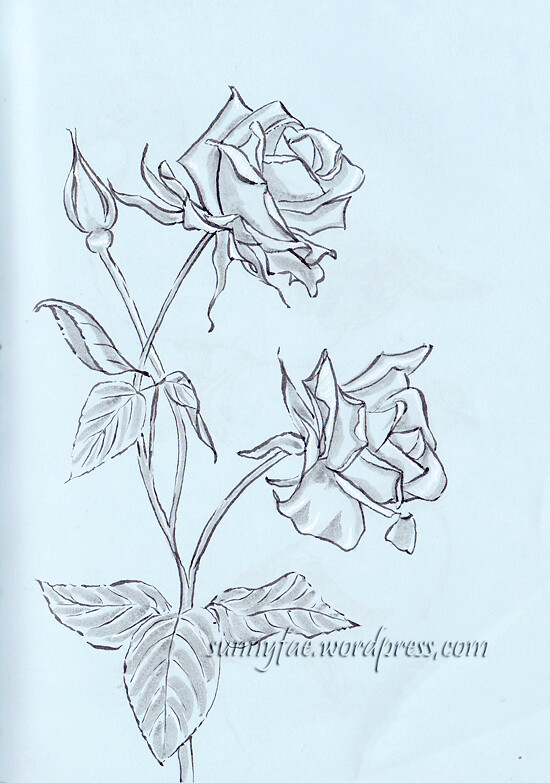 pencil sketch drawing flowers