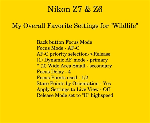 nikon z6 settings for sports