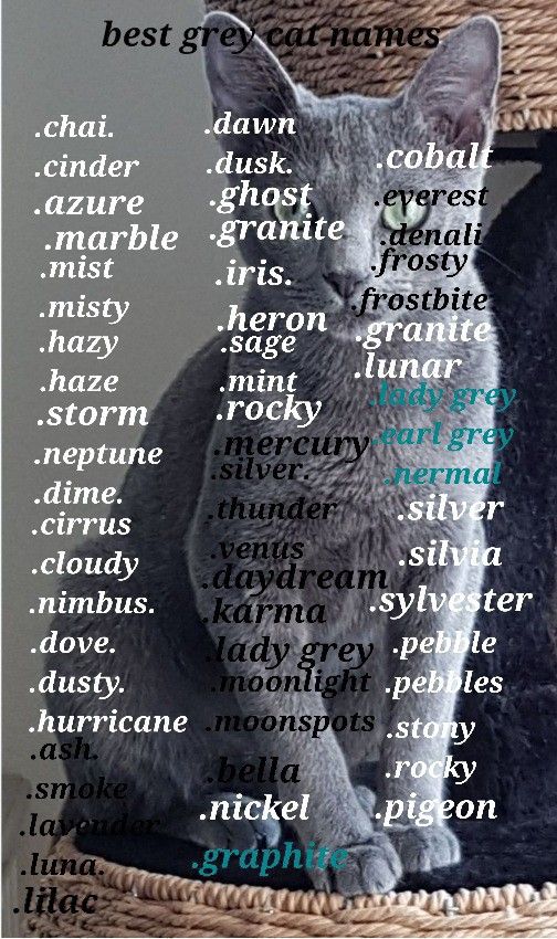 female cat names grey