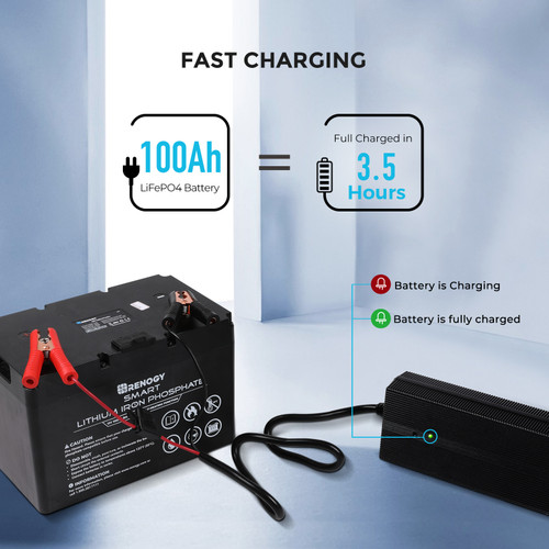 renogy 240v battery charger