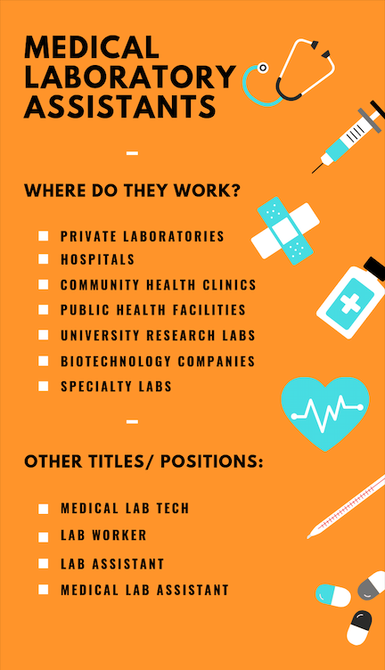 how much does a medical lab assistant make