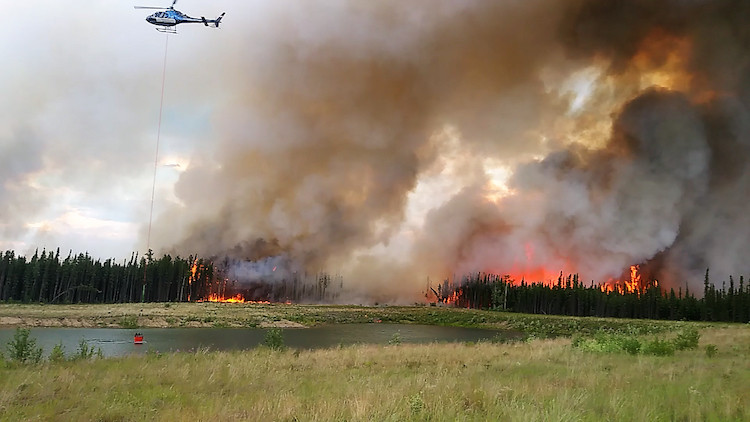 alberta wildfire status