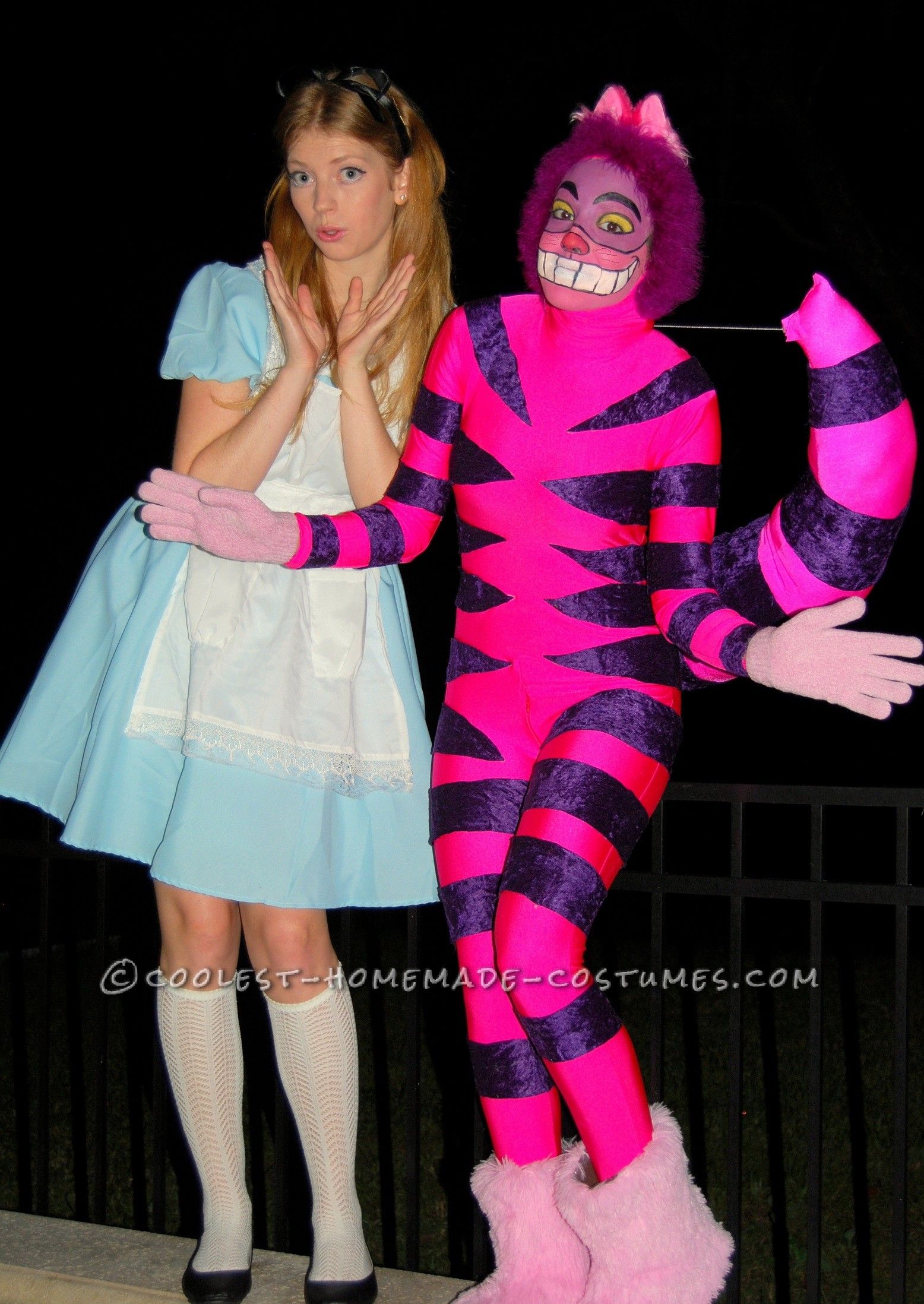 alice and wonderland cat costume