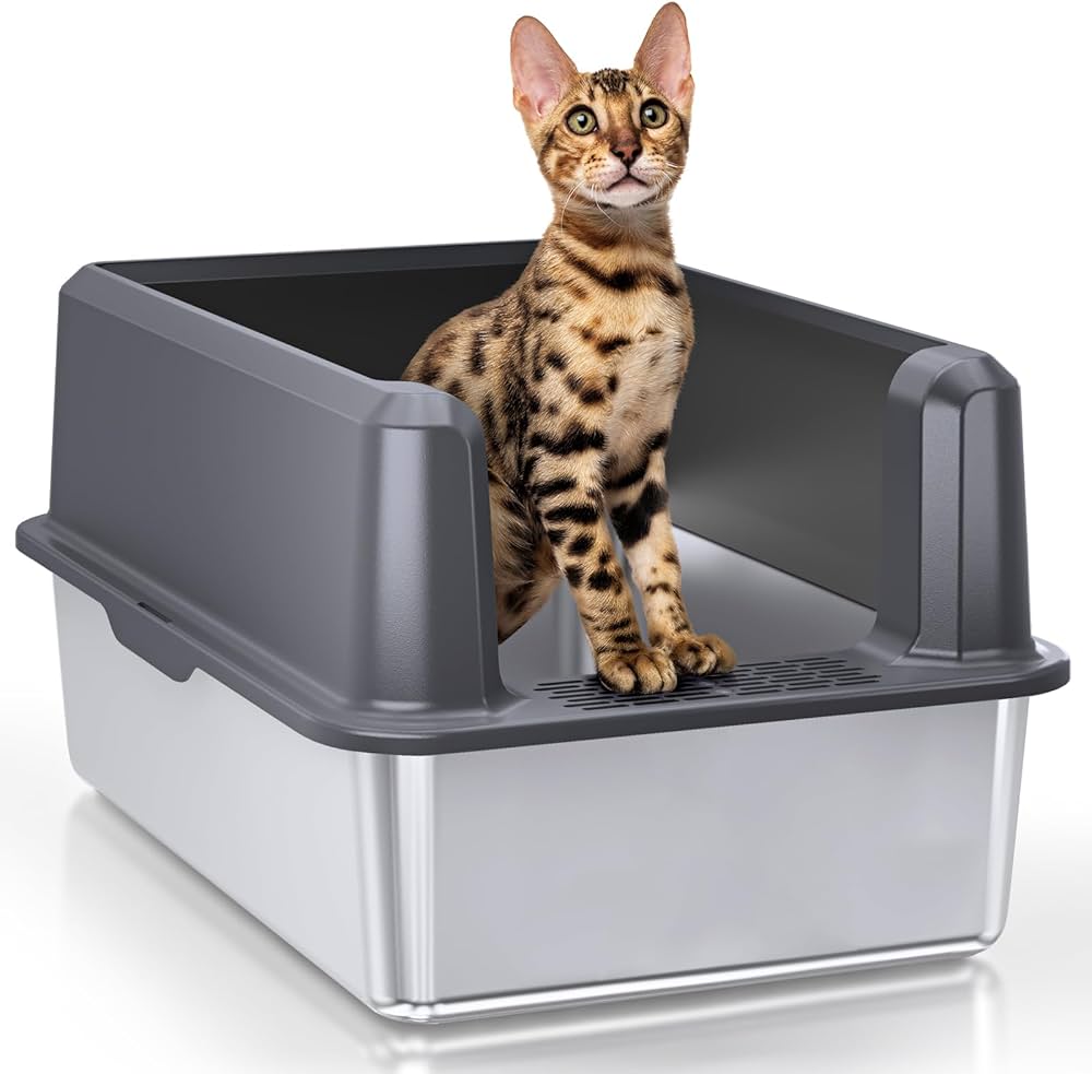 amazon cat litter box