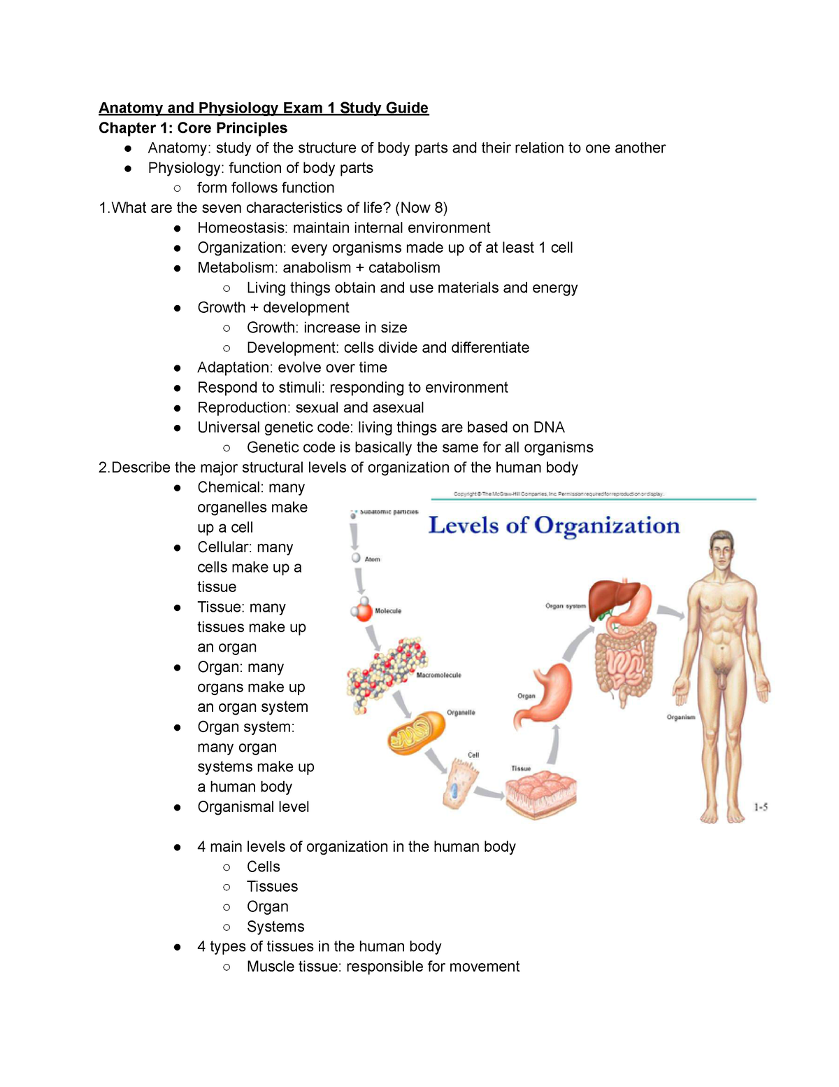 anatomy and physiology exam 1