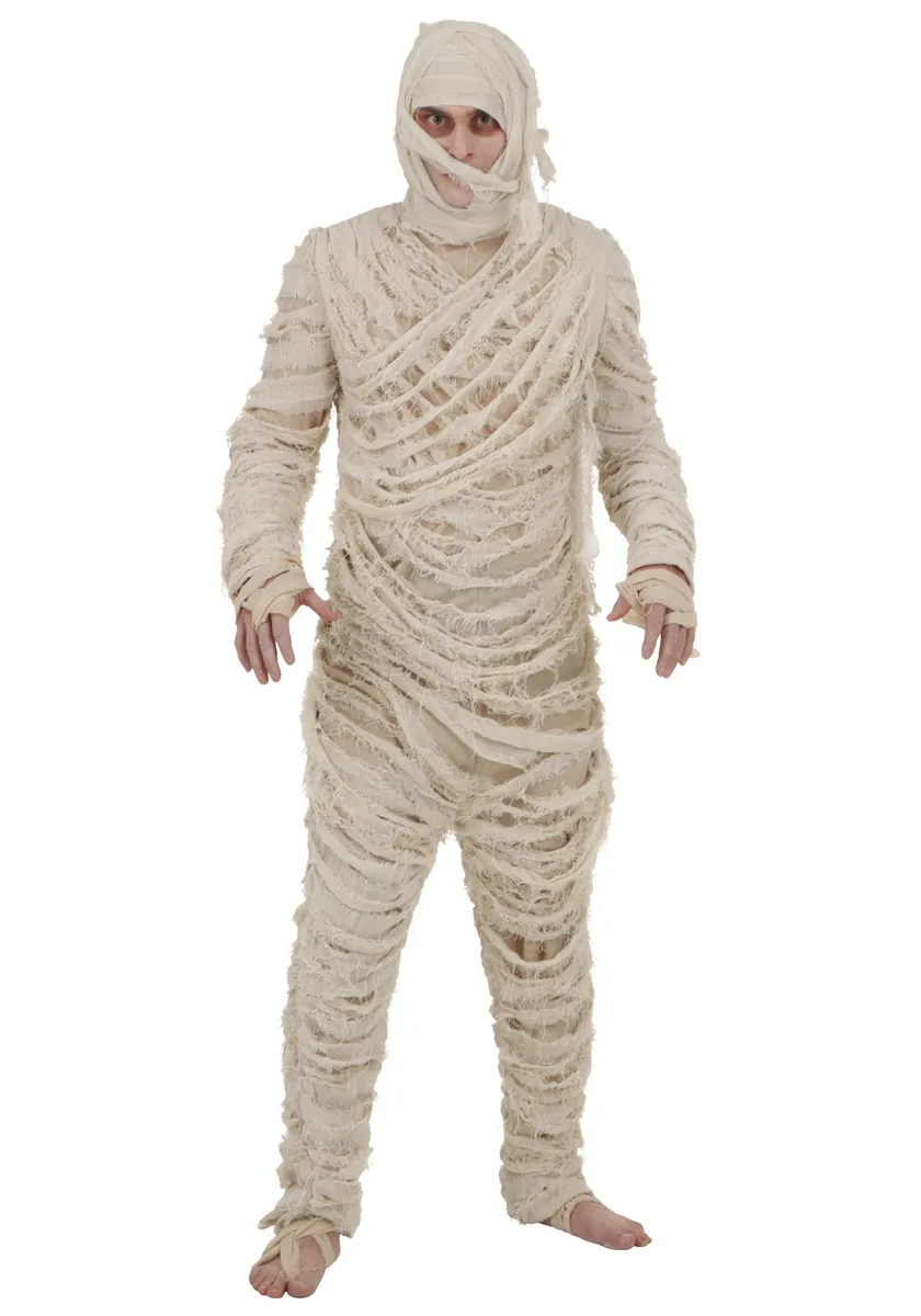 ancient egyptian mummy costume