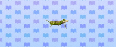 animal crossing new leaf rice grasshopper