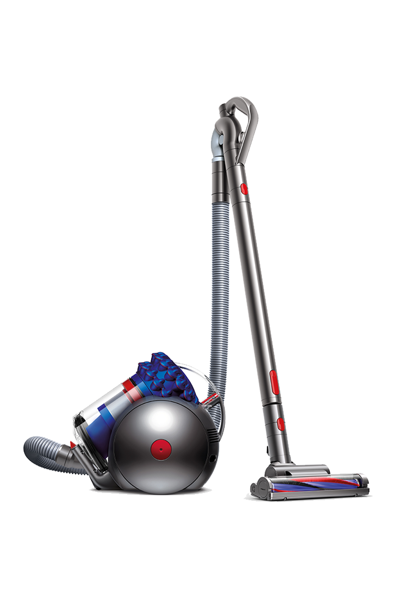 animal dyson vacuum