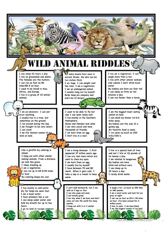 animal riddles worksheet with answers