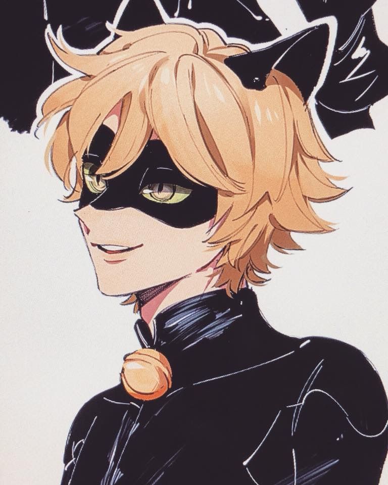 anime cat noir