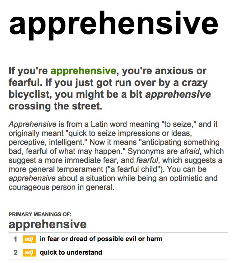 apprehensive meaning
