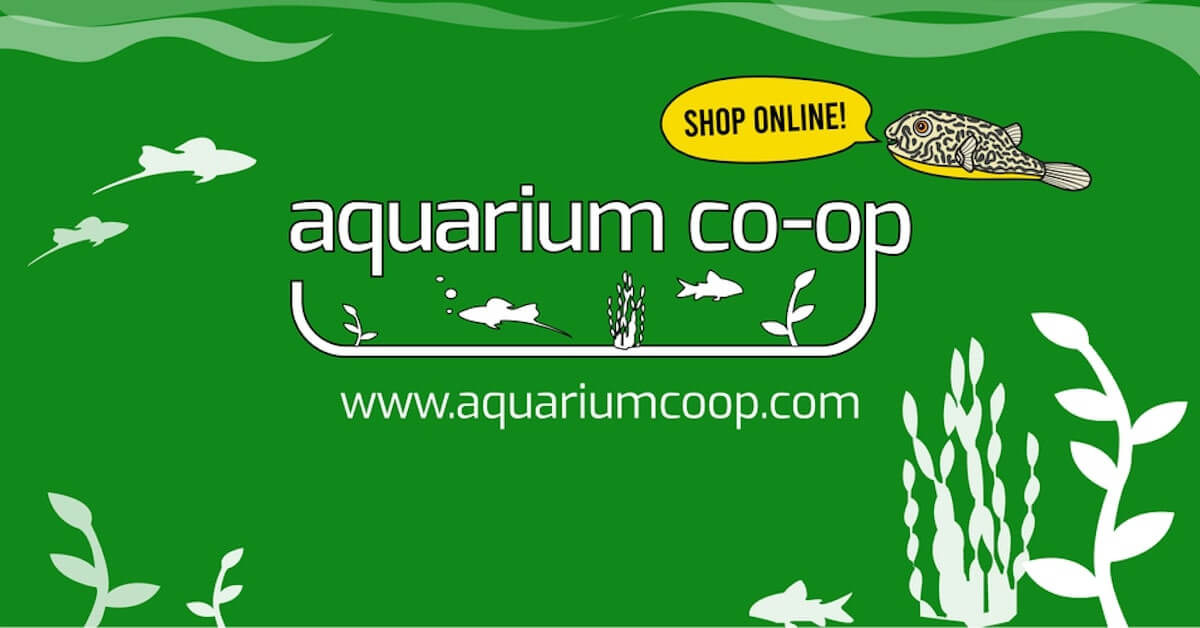 aquarium co op