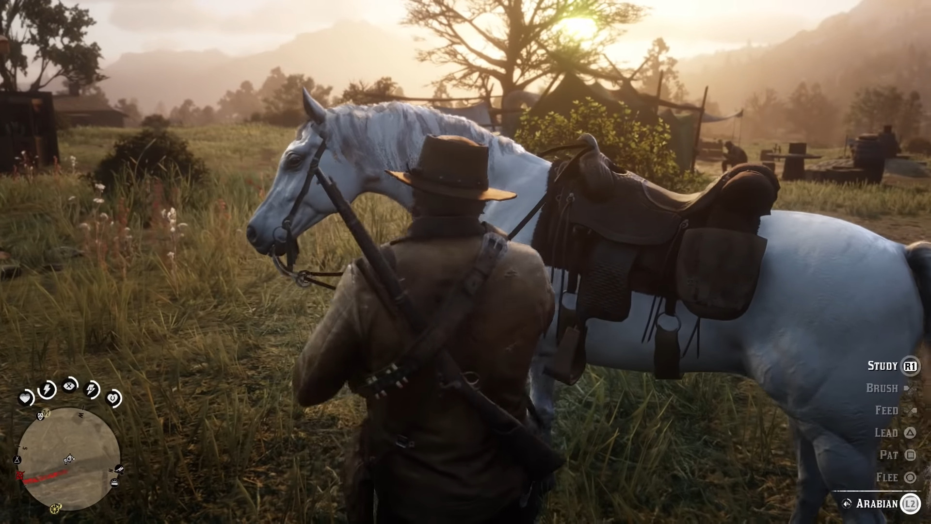 arabian white horse rdr2