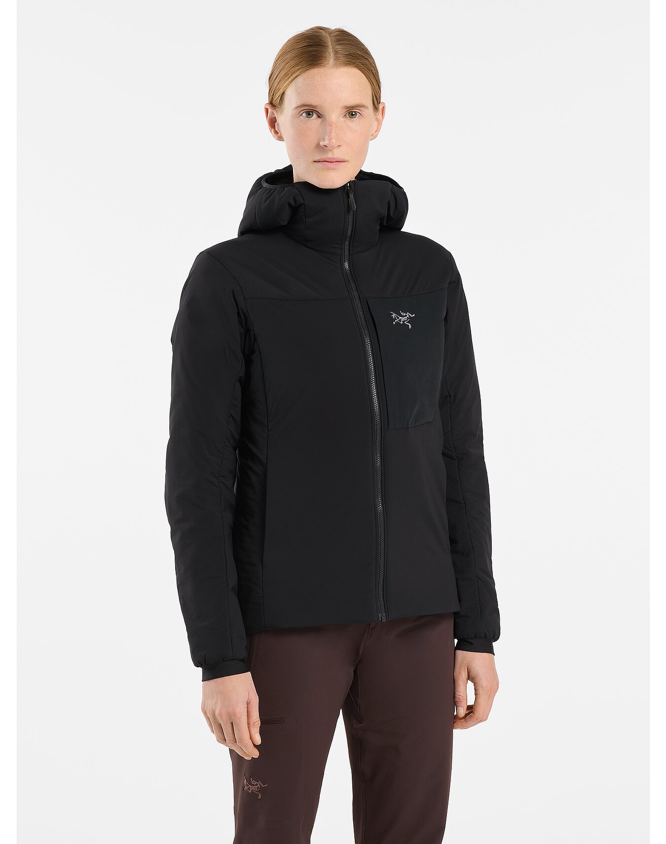 arcteryx proton hoody