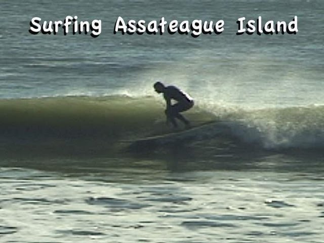 assateague island surf report