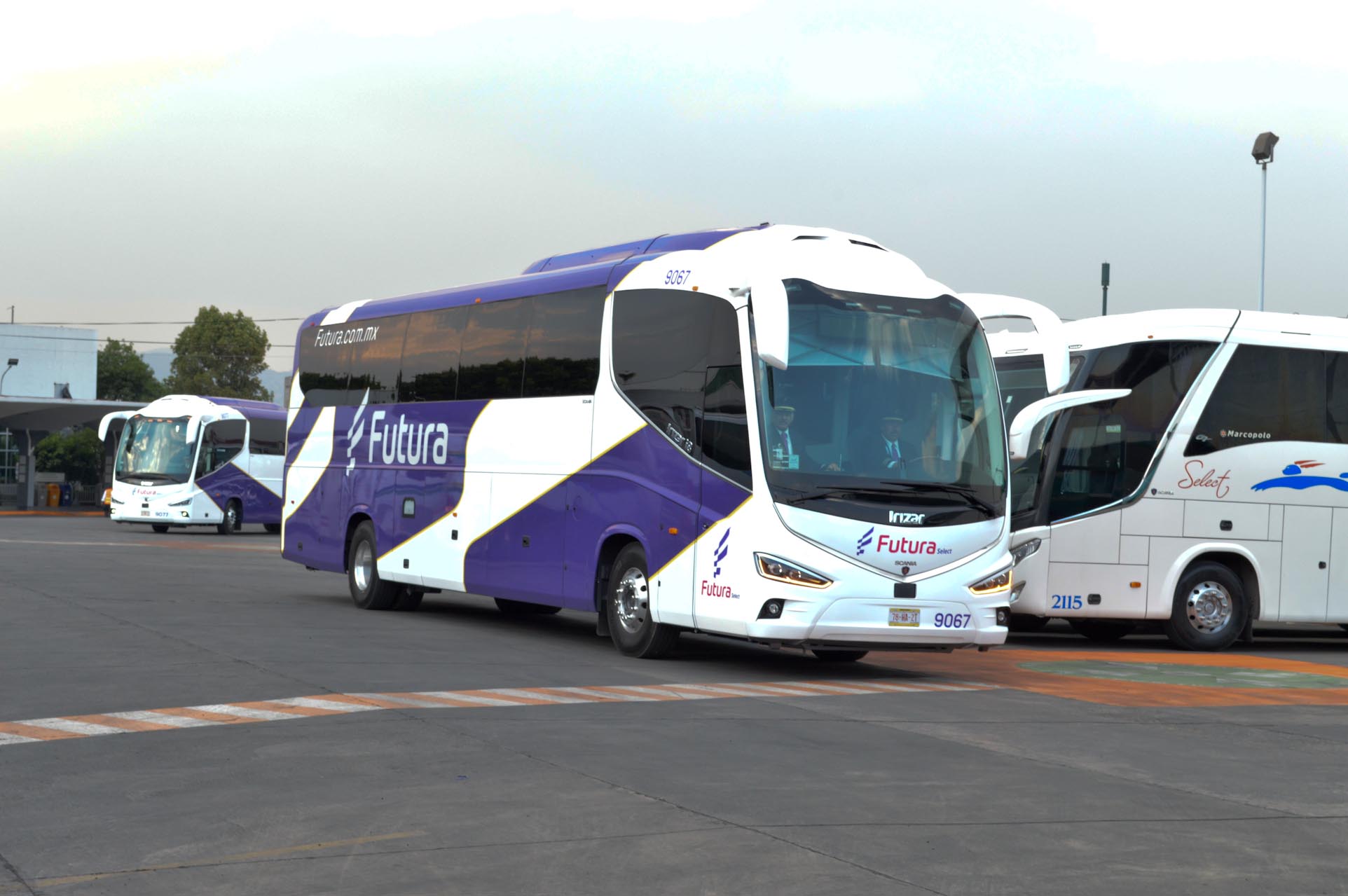 autobuses futura