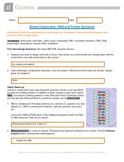 rna and protein synthesis gizmo answer key pdf