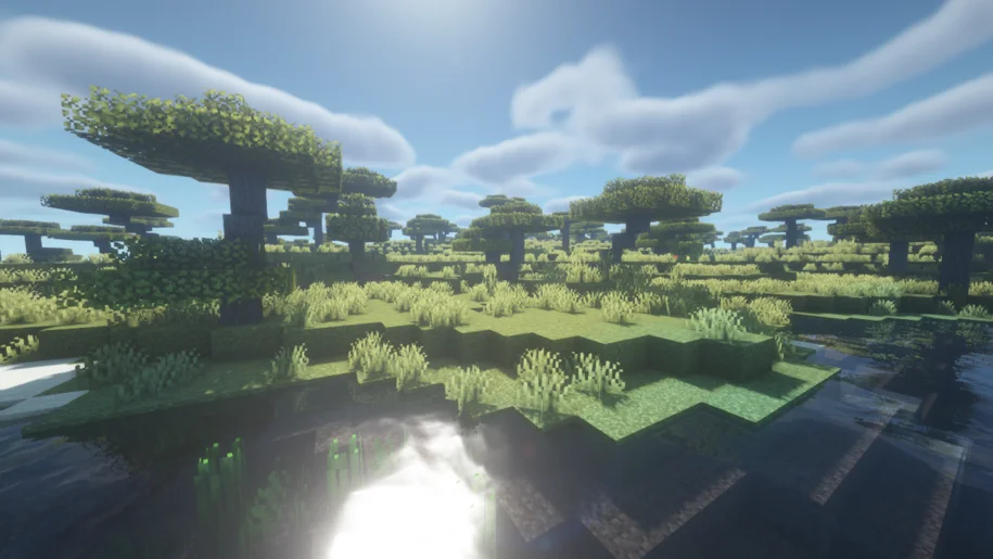 shaders mod net version