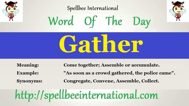 another word for gathered