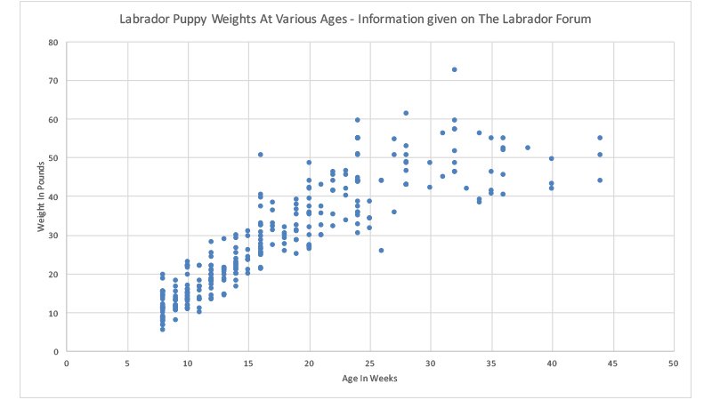 labrador puppy weight chart