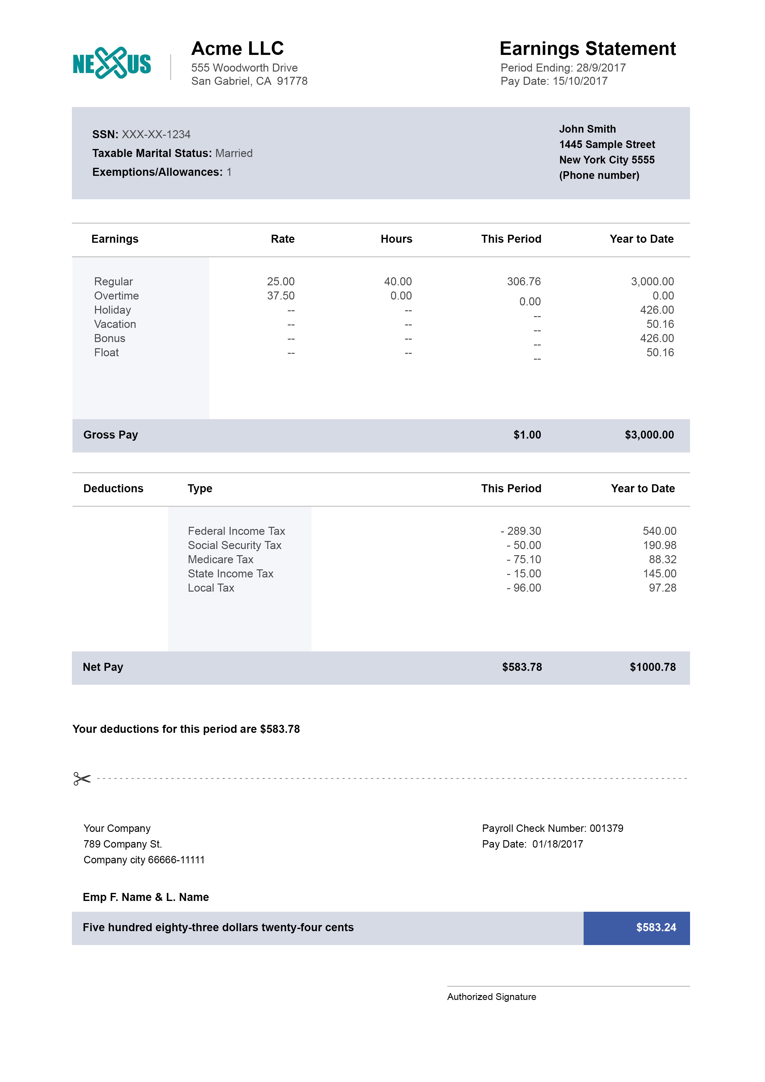 fake pay stub template