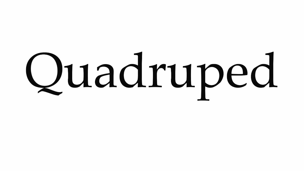 quadruped pronunciation