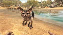 ark survival evolved jerboa