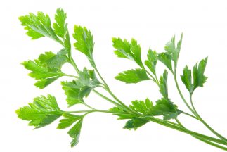 parsley en español