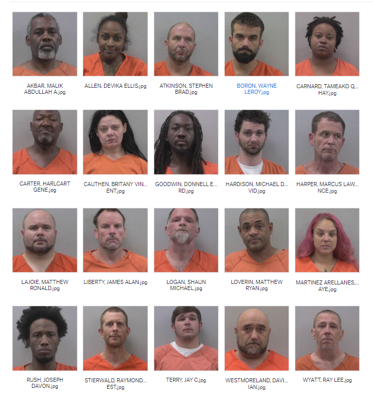 lexington county inmate search