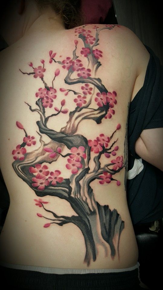 back feminine cherry blossom tattoo