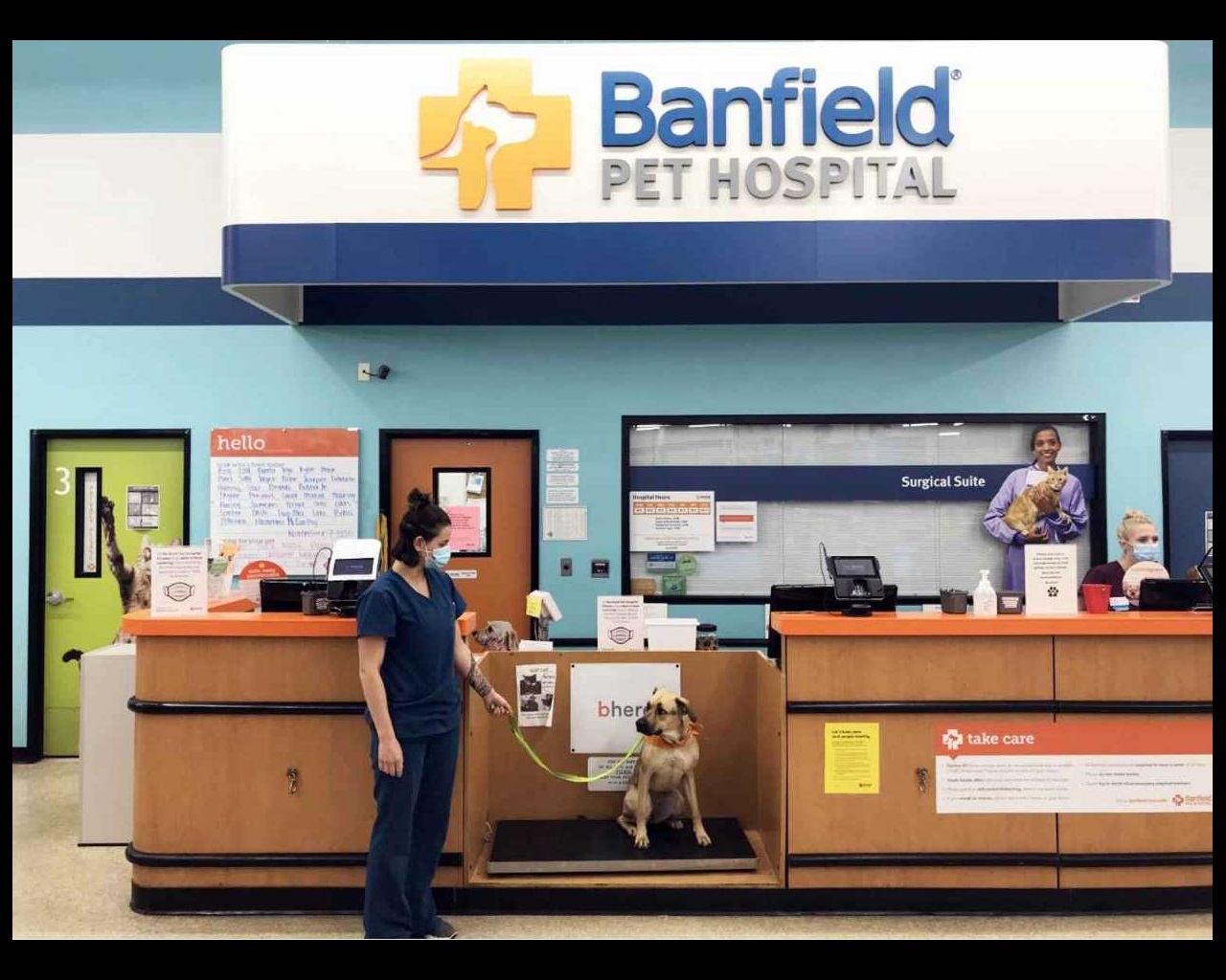 banfield hospital