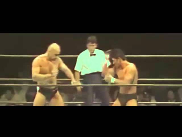 bas rutten highlights