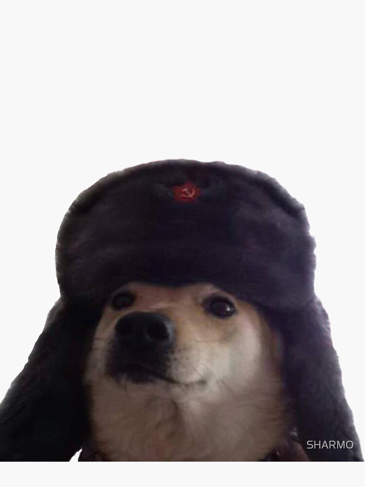 russian soviet doggo