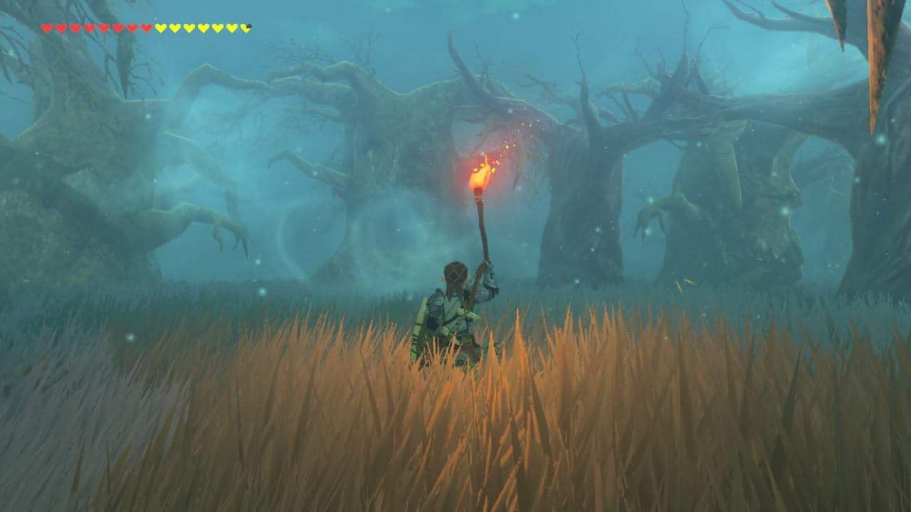 lost forest botw