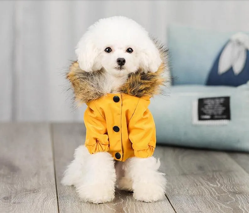 ropa para perritas invierno