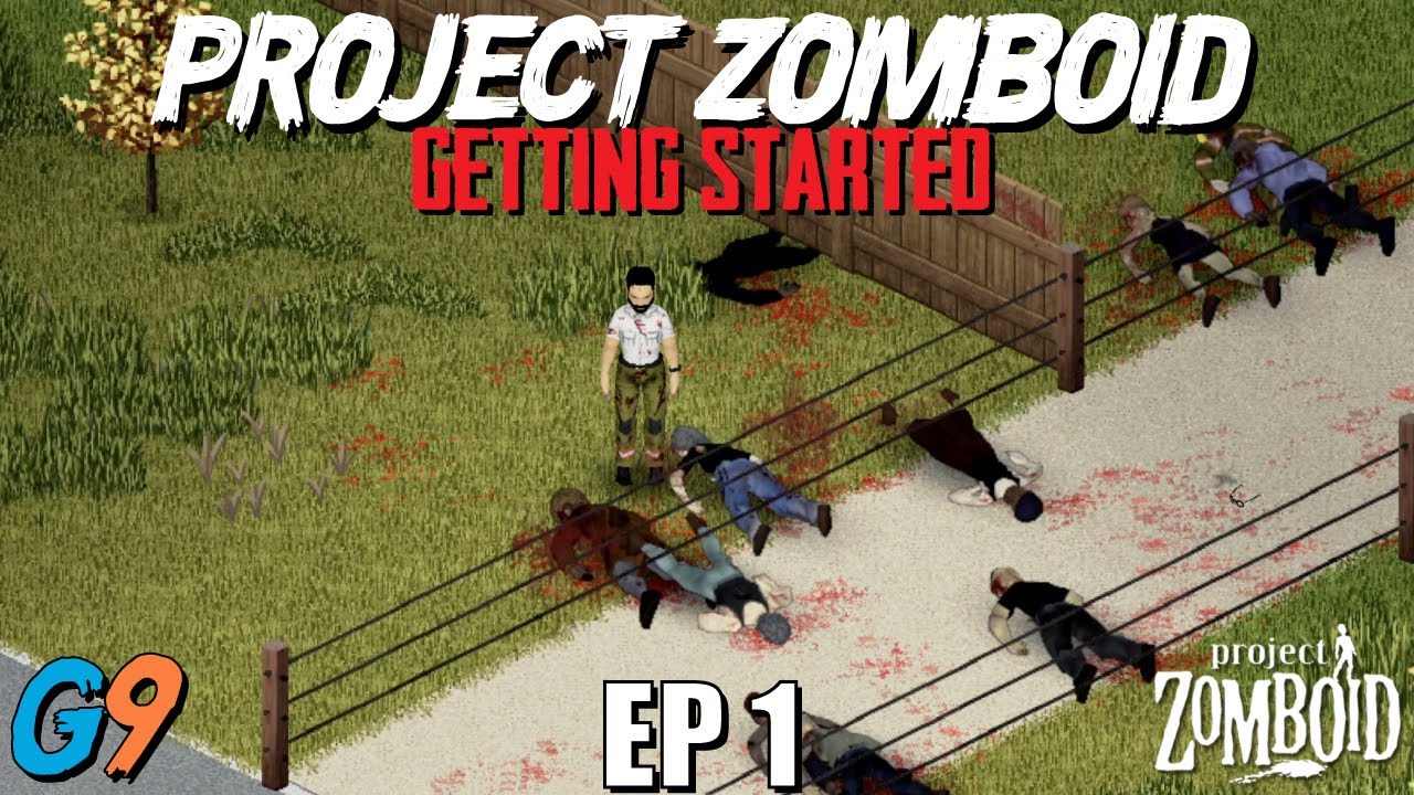 how to play zomboid