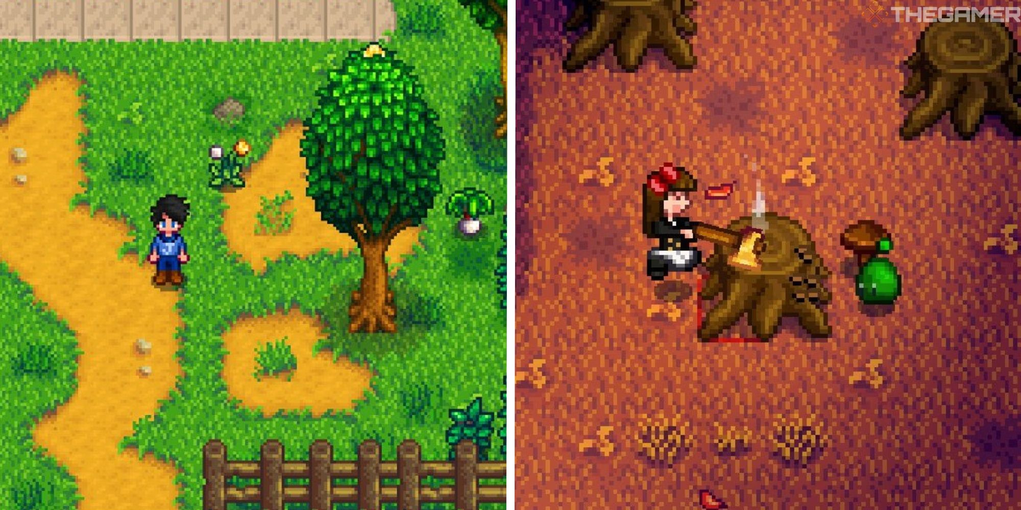 foraging stardew