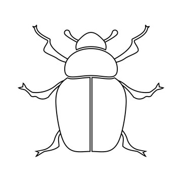 beetle clipart