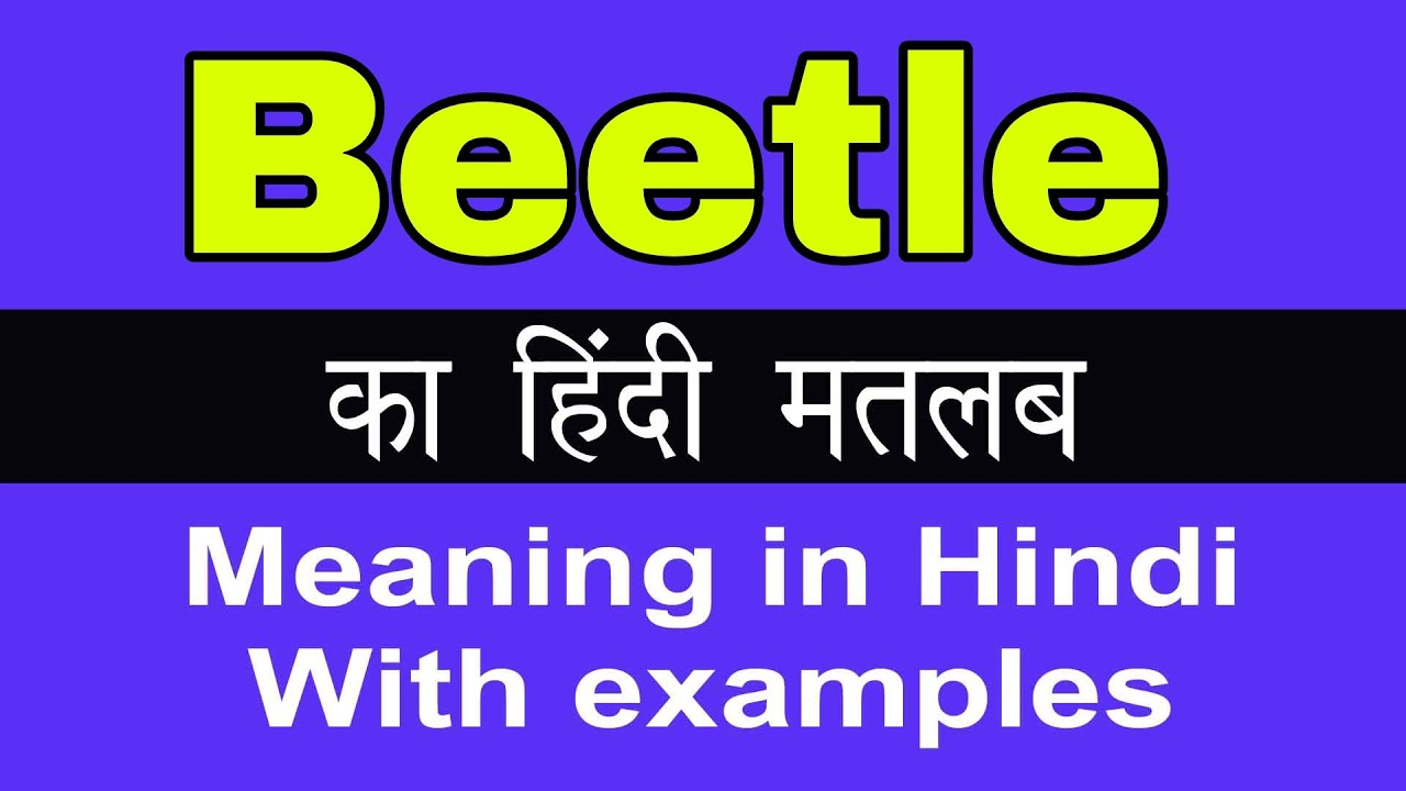 beetle ka hindi meaning