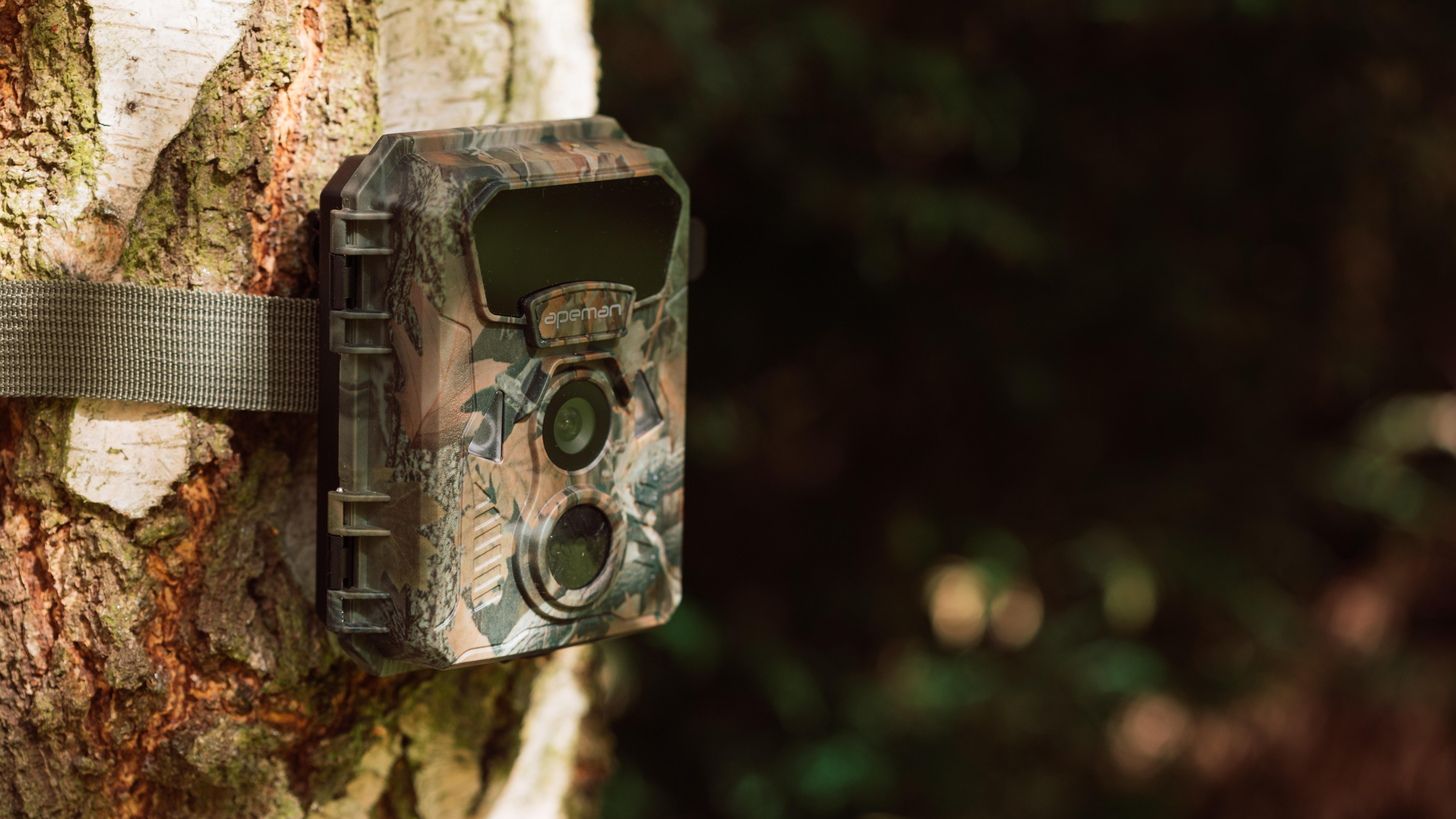 best budget trail camera uk