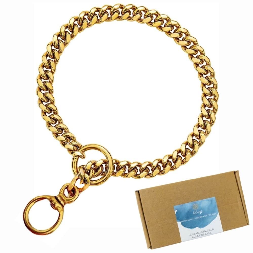 brass dog chain