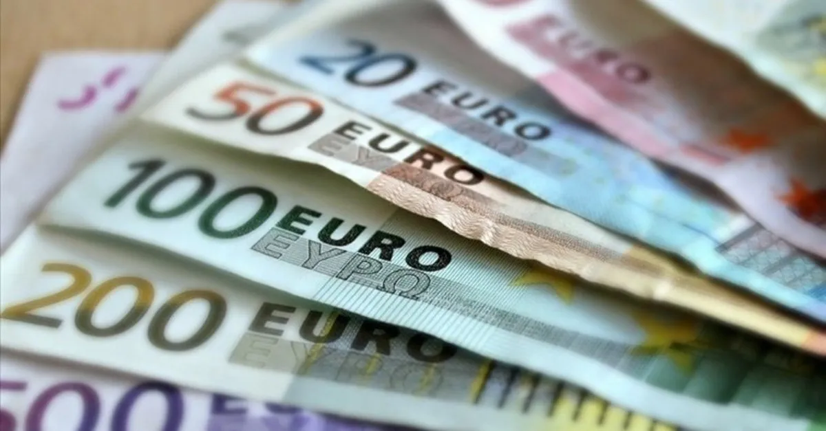 euro tl çeviri hesaplama