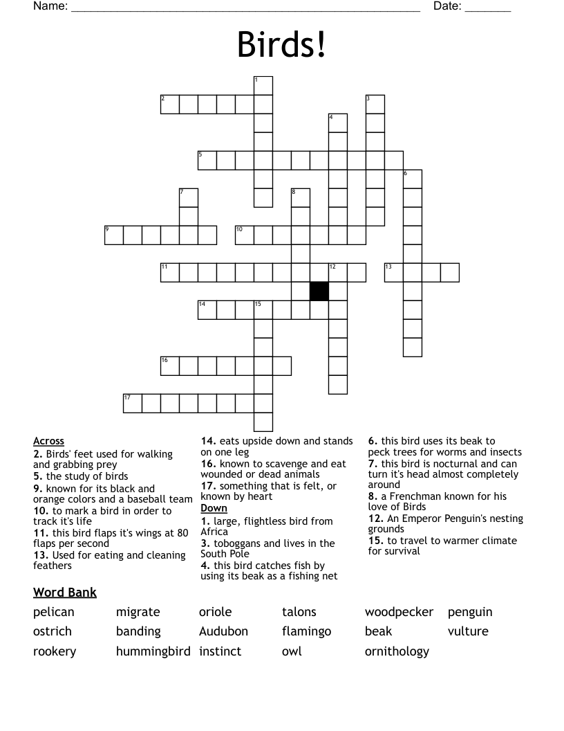 bird crossword puzzle clue