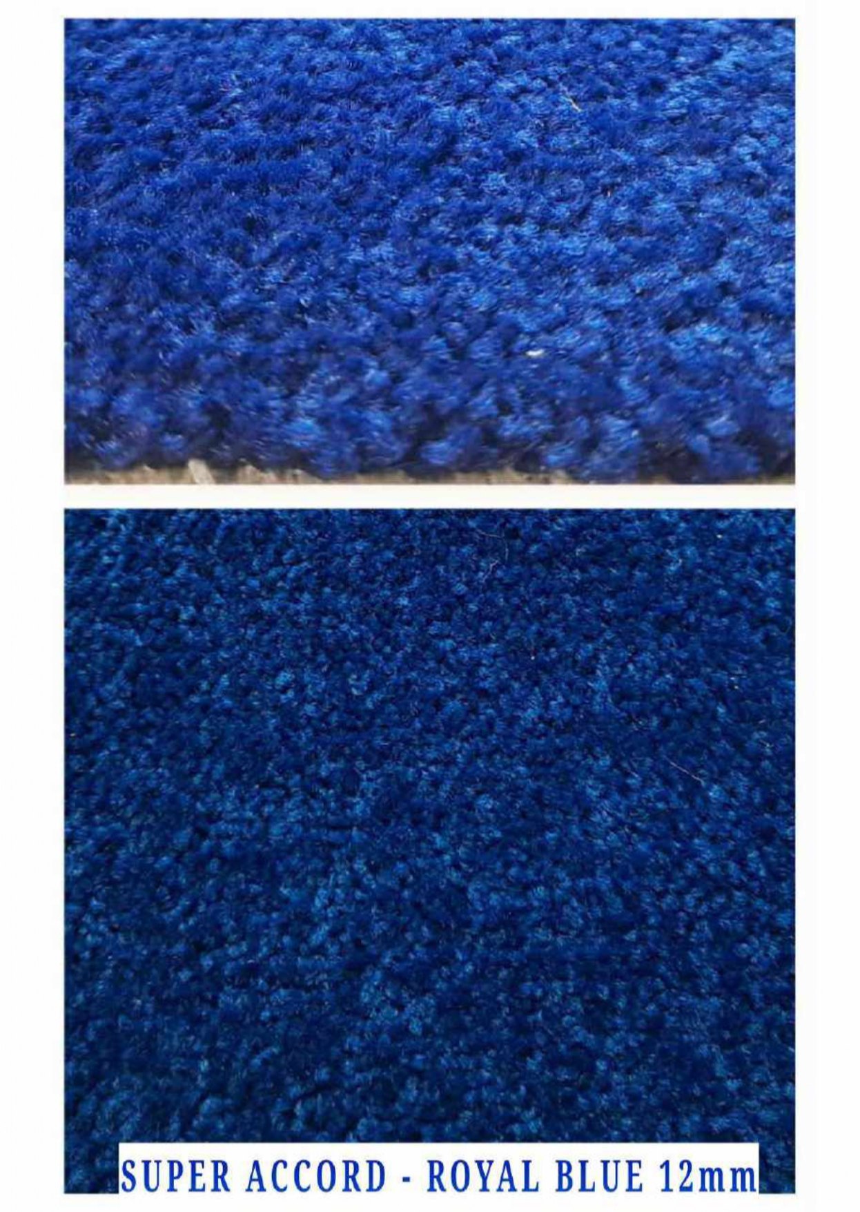 blue marine carpet