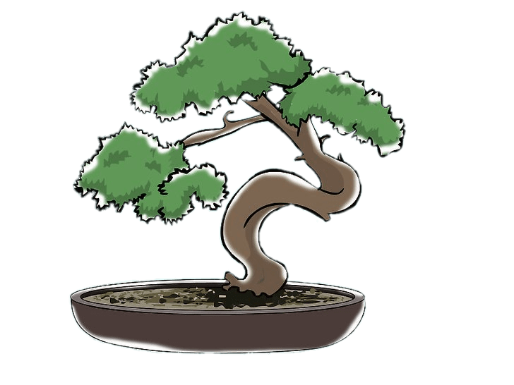 bonsai clipart