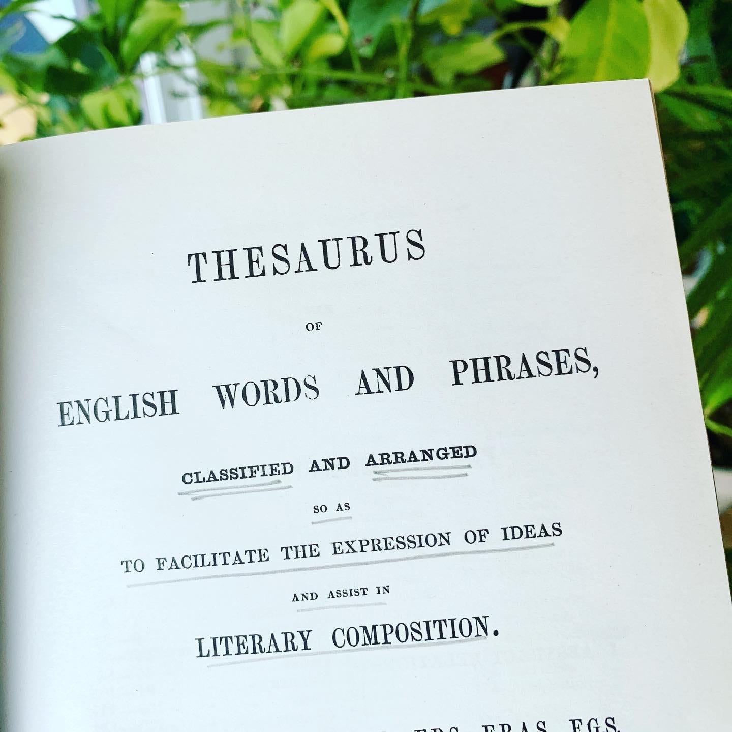 bother thesaurus