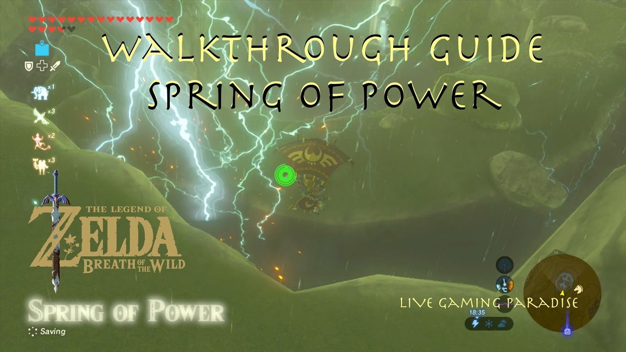 botw spring of power