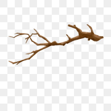 branch clipart