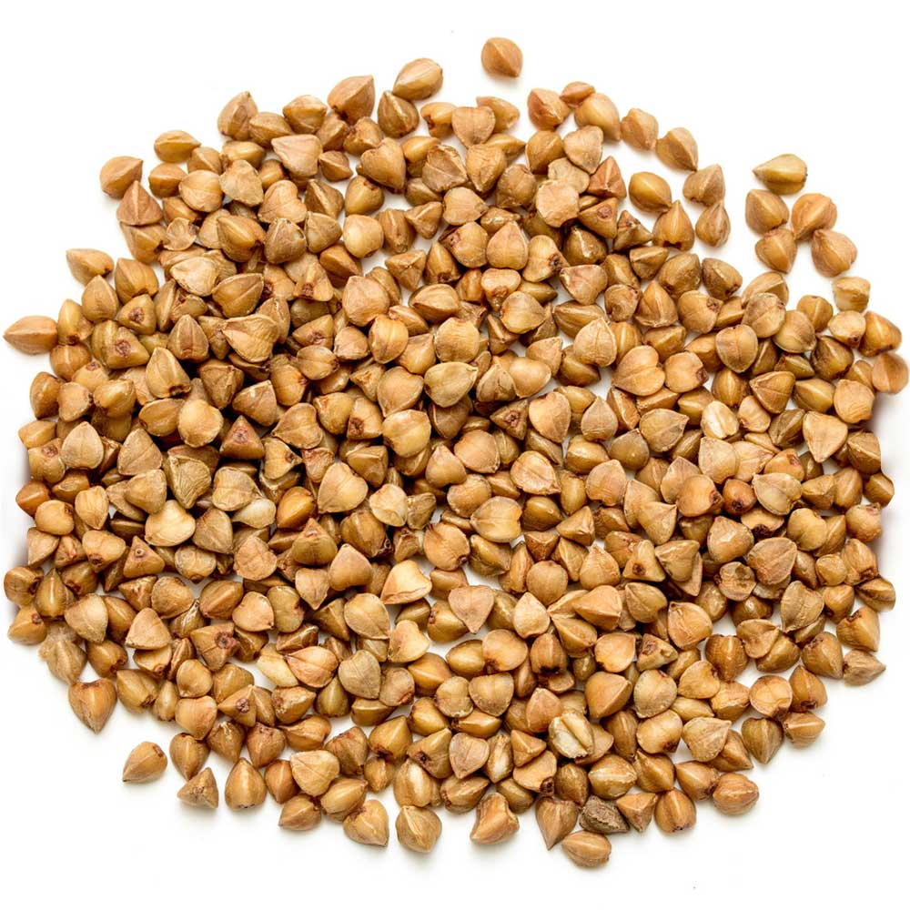 buckwheat meaning in telugu