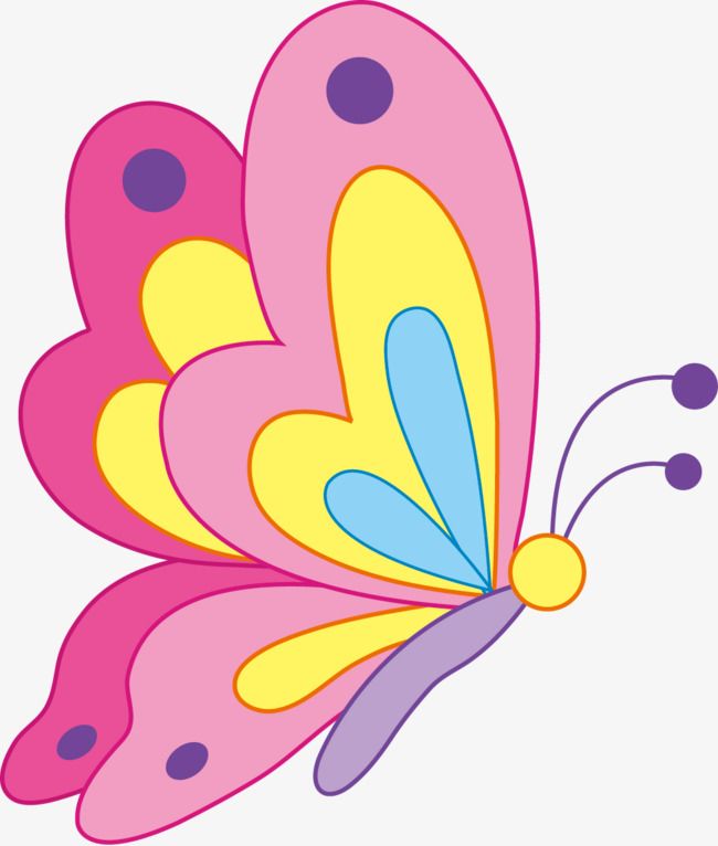 butterfly cartoon png